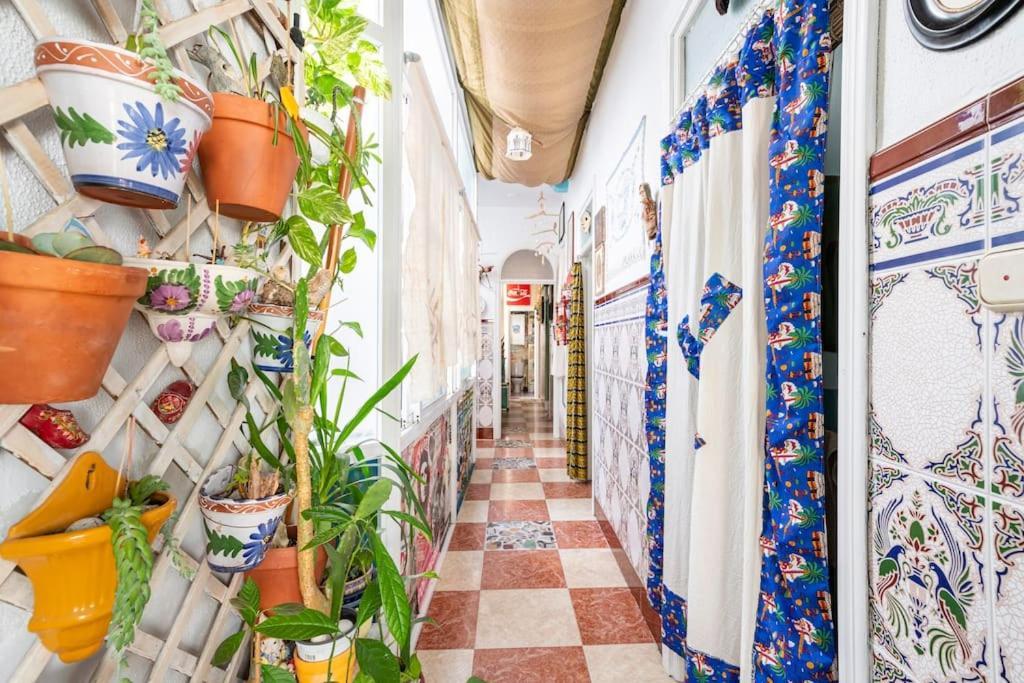 Habitaciones La Pepa كاديز المظهر الخارجي الصورة